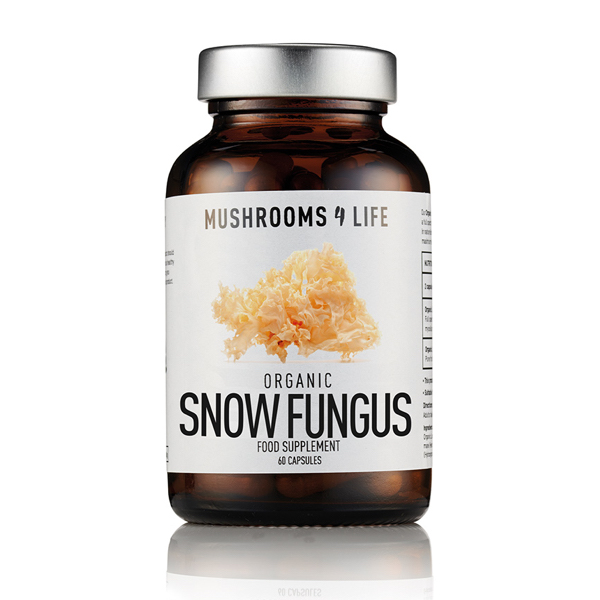 Mushrooms 4 Life Snow Fungus